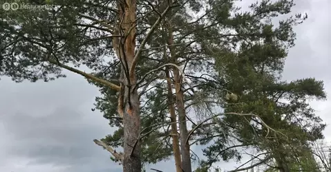 Участок в Выборгский район, Первомайское сельское поселение, посёлок ...