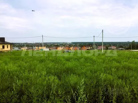 Участок в Ростовская область, Аксайский район, Большелогское с/пос, ...