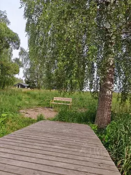 Участок в Московская область, Раменский муниципальный округ, ...