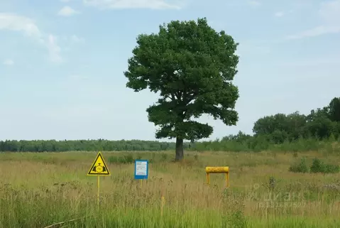 Участок в Владимирская область, Александровский муниципальный округ, ...