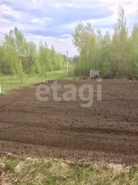 Участок в Брянская область, Брянский район, Добрунское с/пос, с. ...