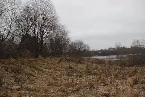 Участок в Московская область, Шаховская муниципальный округ, д. ...