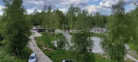 Студия Карелия, Сегежа Лесная ул., 3А (35.5 м)