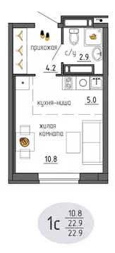 Студия Пермский край, Пермь Ижевская ул., 38 (22.9 м)