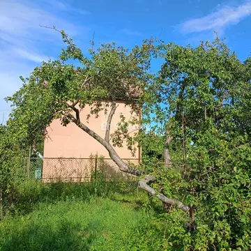 Участок в Калининградская область, Калининград Весна СНТ, проезд ...