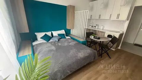 Студия Москва Перовское ш., 2к2 (23.0 м)