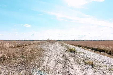 Участок в Ханты-Мансийский АО, Ханты-Мансийск Восточный мкр,  (4.9 ...