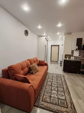 Студия Москва ул. Харлампиева, 50к2 (28.0 м)