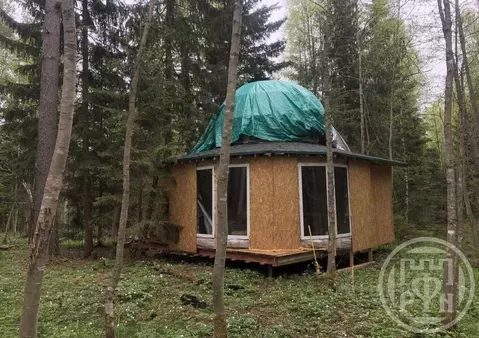 Участок в Ленинградская область, Приозерский район, Раздольевское ...