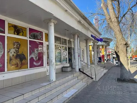 Помещение свободного назначения в Краснодарский край, Анапа ул. ...