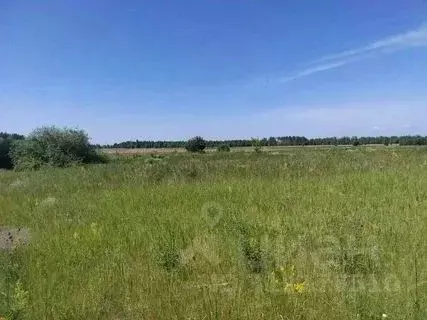 Участок в Нижегородская область, Семеновский муниципальный округ, д. ...