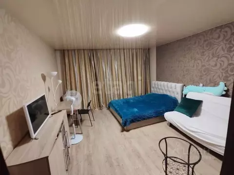 Студия Новосибирская область, Новосибирск ул. Семьи Шамшиных, 90/5 ...