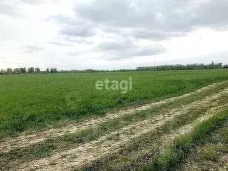 Участок в Ярославская область, Ярославский муниципальный округ, д. ...