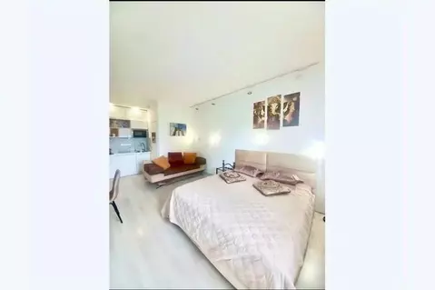 1-к кв. Краснодарский край, Сочи Бытха мкр, ул. Бытха, 20/4 (29.0 м)