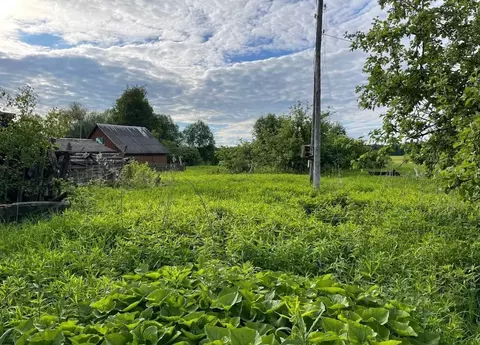 Участок в Московская область, Можайский муниципальный округ, д. ...