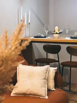 Студия Санкт-Петербург Ремесленная ул., 15 (26.2 м)