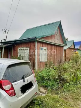 Дом в Пермский край, Березники № 43 СНТ, 41 (10 м)