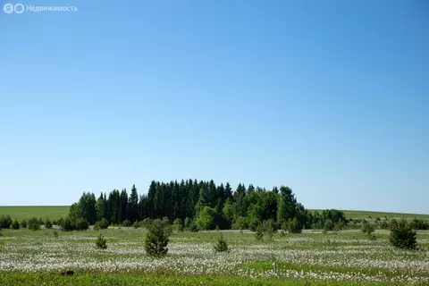 Участок в Завьяловский район, починок Мирный, Ореховая улица, 4 (8.38 ...