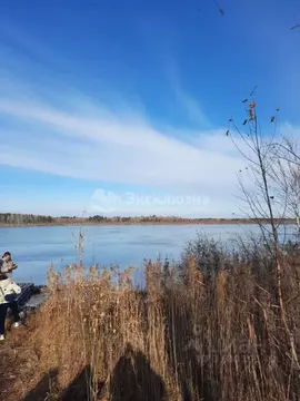 Участок в Тюменская область, Нижнетавдинский район, Ключевское с/пос, ...