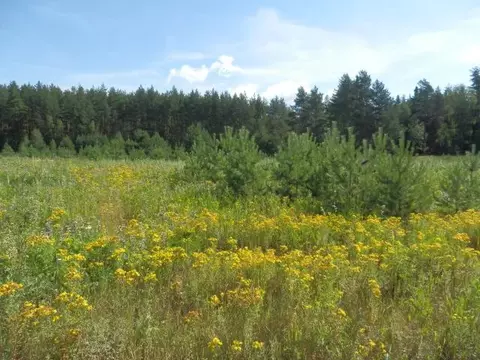 Продается участок в г. Черноголовка