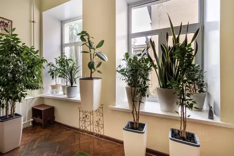 Комната Санкт-Петербург Гагаринская ул., 34 (27.1 м)