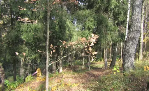 Участок в Московская область, Рузский муниципальный округ, Тучково пгт ...
