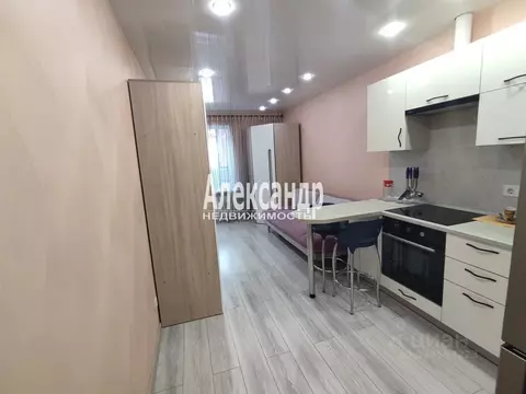 Студия Ленинградская область, Мурино Всеволожский район, бул. ...