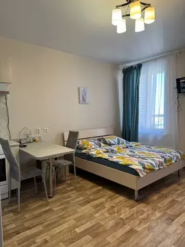 Студия Алтайский край, Барнаул Балтийская ул., 95 (30.0 м)