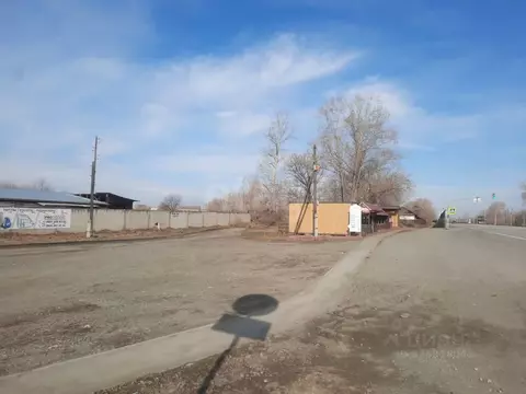 Участок в Алтайский край, Бийский район, с. Верх-Катунское Октябрьская ...