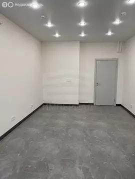 Помещение свободного назначения (24.6 м)