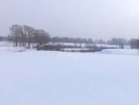 Участок в Новосибирская область, Новосибирск Пашино мкр, ул. ...