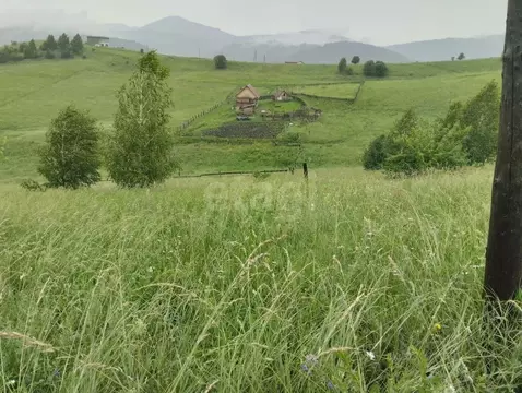 Участок в Алтай, Майминский район, с. Кызыл-Озек ул. С.С. Суразакова, ...