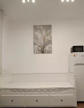 1-к кв. Москва Внуковское поселение, ул. Бориса Пастернака, 10 (20.0 ...