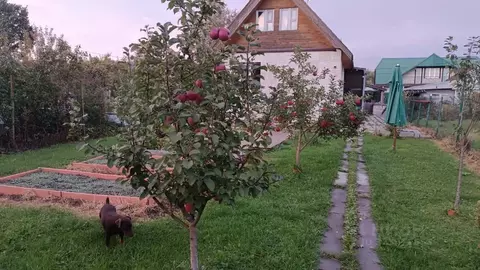 Дом в Ленинградская область, Гатчинский муниципальный округ, ...