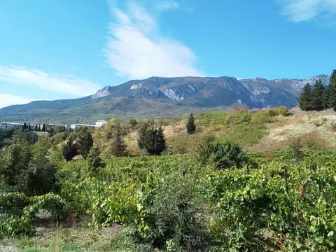 Участок в Крым, Ялта муниципальный округ, Гурзуф пгт  (8.11 сот.)