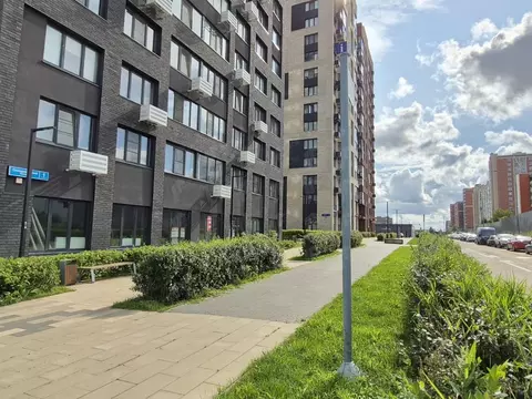 Торговая площадь в Москва бул. Скандинавский, 1к2 (162 м)