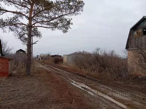 Участок в Оренбургская область, Оренбургский район, Экспериментальный ...