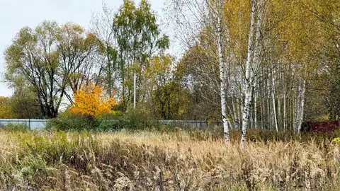 Продается участок в д. Поповка