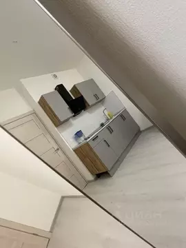 Студия Санкт-Петербург ул. Новосергиевская, 3 (25.0 м)