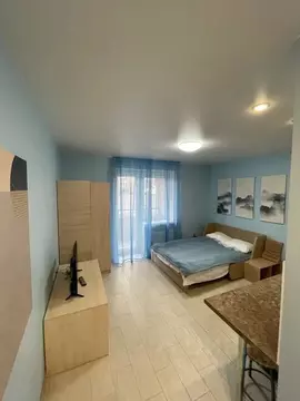 Студия Тверская область, Тверь ул. Терещенко, 6к2 (27.0 м)