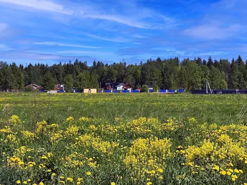 Участок в Московская область, Клин городской округ, Коськово кп 125 ...