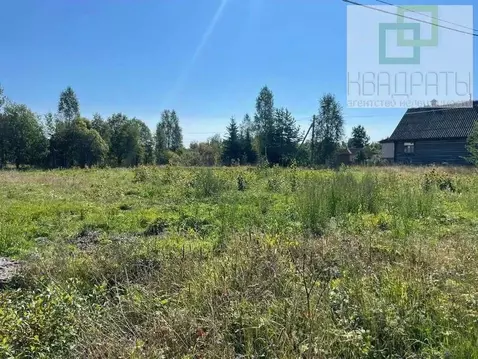 Участок в Ленинградская область, Лужский район, пос. Мшинская  (8.12 ...