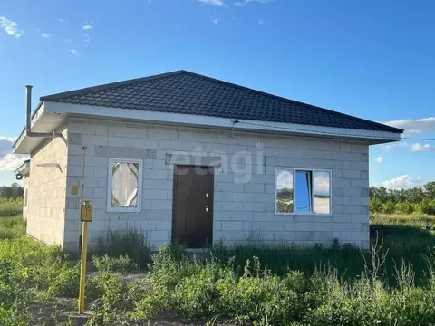 Дом в Алтайский край, Барнаул городской округ, пос. Центральный ул. ...