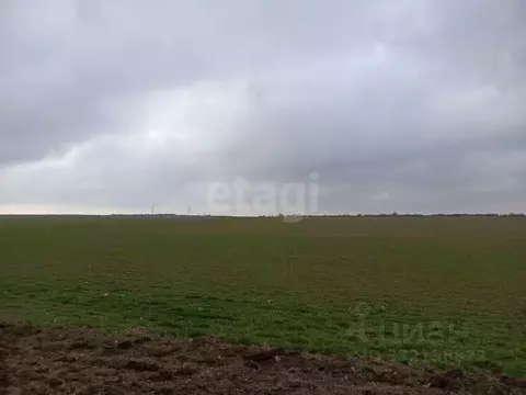 Участок в Крым, Черноморский район, с. Новосельское  (2.94 сот.)