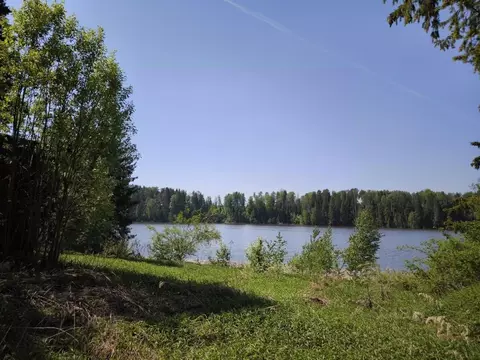 Участок в Пермский край, Частинский муниципальный округ, д. Поздышки ...