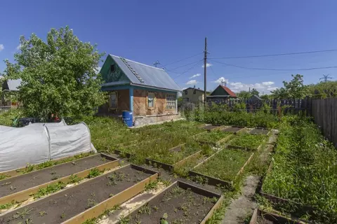 Дом в Омская область, Омск Рассвет СНТ, 82 (21 м)