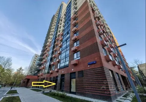 Помещение свободного назначения в Москва Авангардная ул., 10А (67 м)