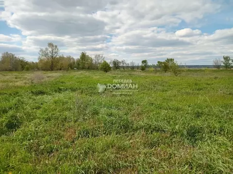 Участок в Ростовская область, Октябрьский район, Бессергеневское ...