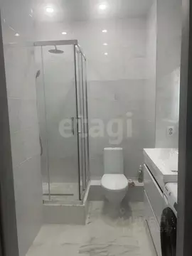 Студия Новосибирская область, Новосибирск Бронная ул., 22 (24.3 м)