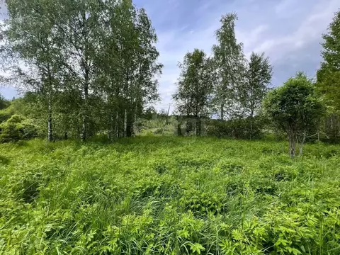Участок в Ленинградская область, Выборгский район, Советское городское ...